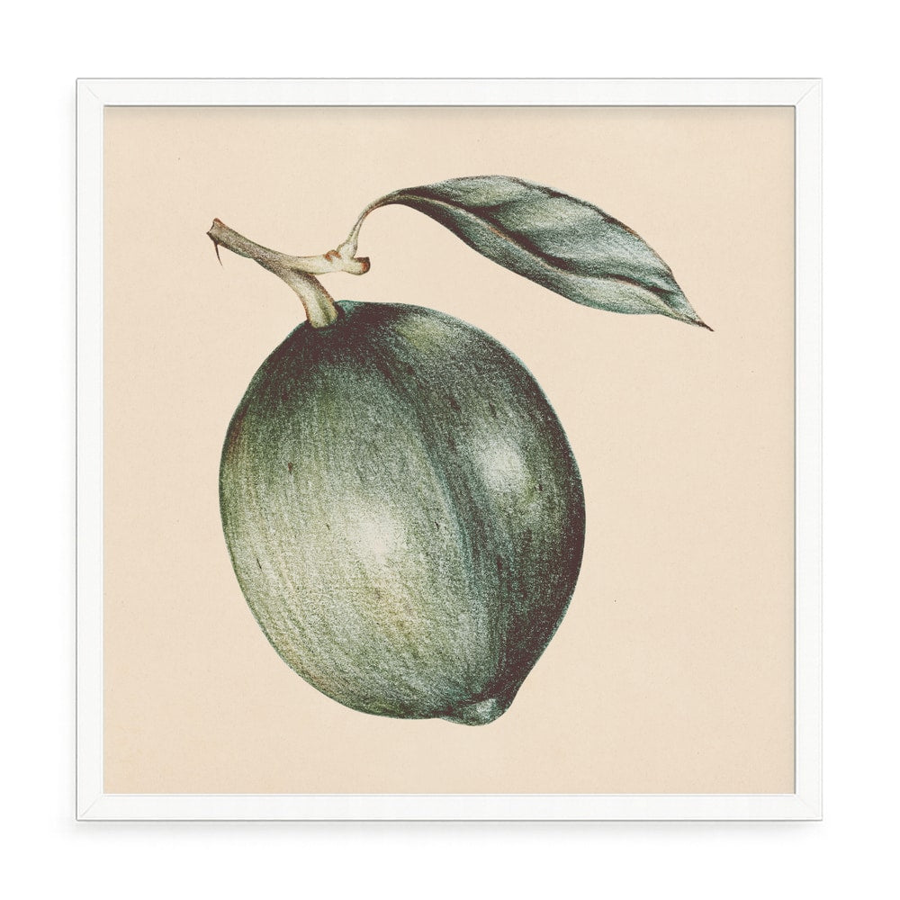 Zöld gyümölcs fali kép – fúrásmentes, öntapadós képkeret, 20x20 cm - fehér keret